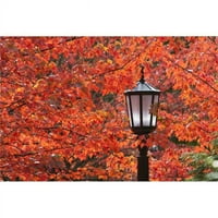 Posterazzi DPI1900742NAGY őszi színek a leveleken & a Light Post-Portland, Oregon, Amerikai Egyesült Államok poszter